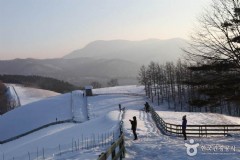天津飞首尔旅游必看住宿攻略