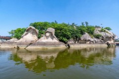探秘首尔旅游城市中的简单森林绘画方法