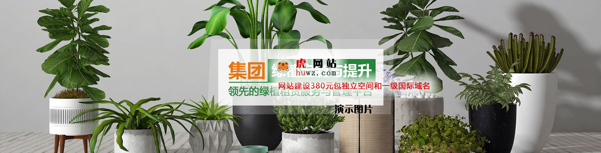 成功案例banner