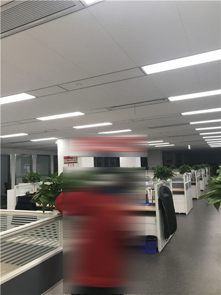 上海花卉租赁公司浅谈室内花卉装饰几大技巧