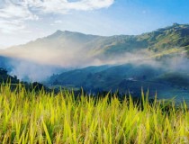 三亚到胡志明市旅游攻略适用的行程安排指南