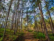 介绍越南芽庄旅游攻略让你轻松玩转芽庄