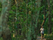 7月份芽庄旅游攻略如何穿出清凉夏日风格