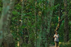 5月芽庄旅游攻略让你玩出不一样的芽庄