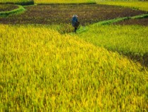 从芽庄到胡志明旅游攻略越南之旅的精彩体验