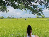 免费越南芽庄旅游景点有哪些值得一去的地方