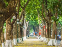 从越南胡志明市到芽庄旅游攻略（交通住宿景点介绍）