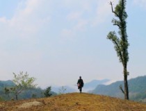 7月越南芽庄旅游攻略（推荐必去景点和美食）