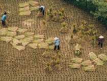 19年芽庄珍珠岛旅游攻略（畅游珍珠岛的必备指南）