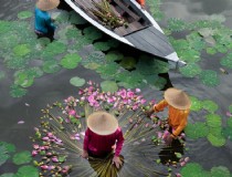 免费越南芽庄旅游攻略让你轻松体验美好的度假