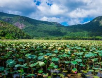 15岁少年如何在越南旅游芽庄