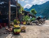 从芽庄到河内，旅游大巴有哪些优惠政策