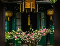 上海至越南胡志明市旅游（畅游越南的首都）