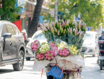 丽水出发到越南芽庄旅游攻略,越南芽庄旅游景点推荐