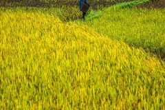 4月芽庄旅游淡季还是旺季？（了解芽庄旅游的最佳时间）