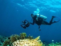 印度巴厘岛的旅游攻略 印度巴厘岛旅游费用