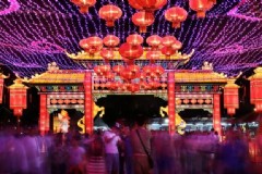 新加坡旅游签证可以自己申请吗(新加坡5年签证条件?)