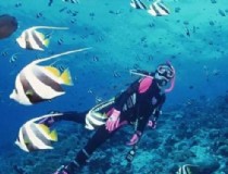 泰国有哪些著名的水肺潜水地点？