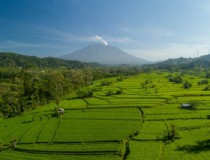 巴厘岛为什么是旅游胜地 巴厘岛为什么是旅游胜地呢