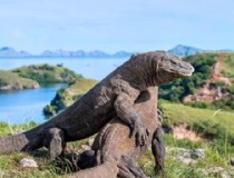 去巴厘岛旅游要兑换多少钱？去巴厘岛旅游要兑换多少钱人民币