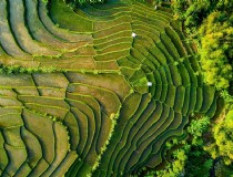 暑期境外旅游巴厘岛(旅游巴厘岛攻略)