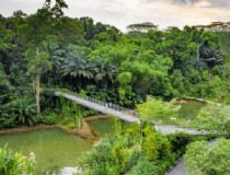 新加坡旅游攻略英文版 2022年新加坡入境要求？