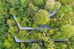 新加坡到重庆机票查询 2021年新加坡回中国航班?