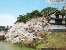 一个人去日本旅游要多少钱费用 去日本旅游一周大概要花多少钱？除了护照外，需要满足什么条件才能申请去日本旅游？