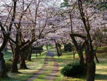 京都第一瀑布旅游攻略(京都第一瀑布门票)