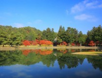 首尔旅游挺失望的 中国人为什么去日本，韩国旅游？