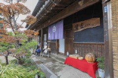 北海道旅游什么时候去，北海道旅游什么时候去合适
