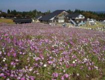 广西北海道旅游能花销多少？广西北海道旅游能花销多少钱