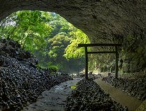 带着狗子去京都旅游好吗 为什么在中国，自古对“狗”的评价都很差？