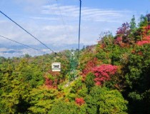 京都 冬季旅游攻略，莫干山冬天住宿攻略？