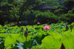 日本特定技能和工作签证的区别(日本介护主要干什么活，需要会日语吗？)