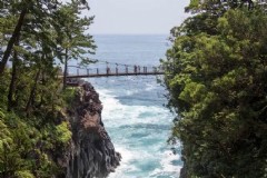 去大阪旅游 必备，来日本旅游想购买什么带回国呢？