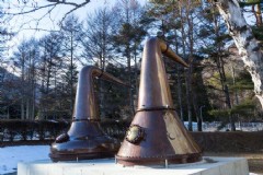 日本还能去旅游吗(2月份还能去日本玩吗？)