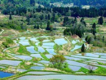 非诚勿扰的北海道旅游攻略？非诚勿扰北海道酒店叫啥