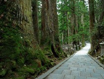 日本旅游必备顺畅的接送服务，畅游全日本