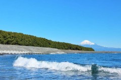 京都旅游大概要花多少钱?京都旅游大概要花多少钱呢