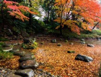 武汉到广西北海道旅游攻略，武汉到北海自驾沿途景点？