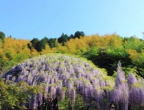 大连到福冈旅游签证，大连到福冈旅游签证怎么办