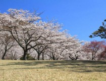 冬季去冲绳旅游带什么吃的 冬季去冲绳旅游带什么吃的好