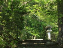去日本的签证快过期了怎么办(日本家族滞在签快证快过期有没有办法换其它签证？)
