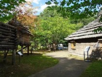 怎么去北海道高桥岛旅游 新潟县有什么好玩的地方？哪些景点必去？