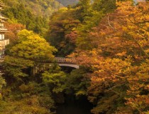 京都旅游攻略青岛(以前跟过团去日本旅游，这次想自由行，大家有什么值得推荐的攻略吗？)