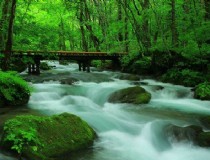 北海道旅游咋样才能去呢，日本北海道什么时候去最好？