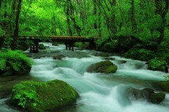 北海道旅游咋样才能去呢,日本北海道什么时候去最好?