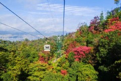 去京都旅游的原因？京都一年四季气温？