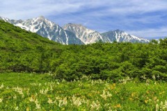 日本商务签证可以带家属吗,如何才能在日本定居?